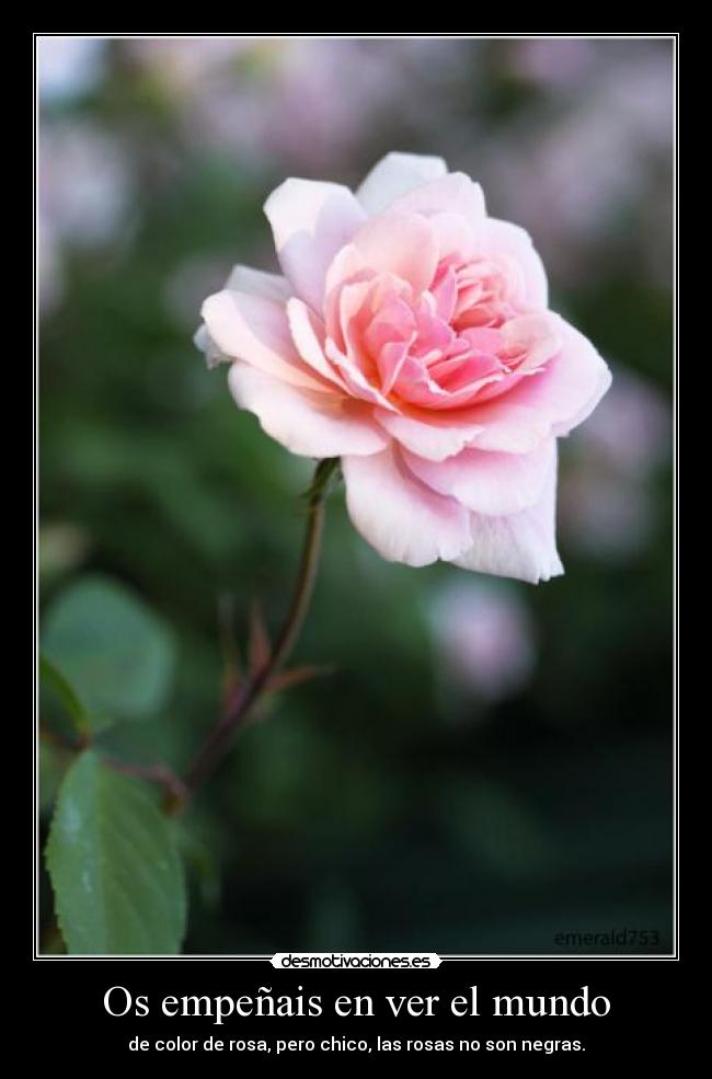 Os empeñais en ver el mundo - de color de rosa, pero chico, las rosas no son negras.