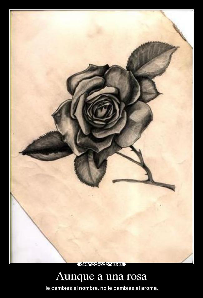 carteles sabiduria los simpson infinita jaja desmotivaciones