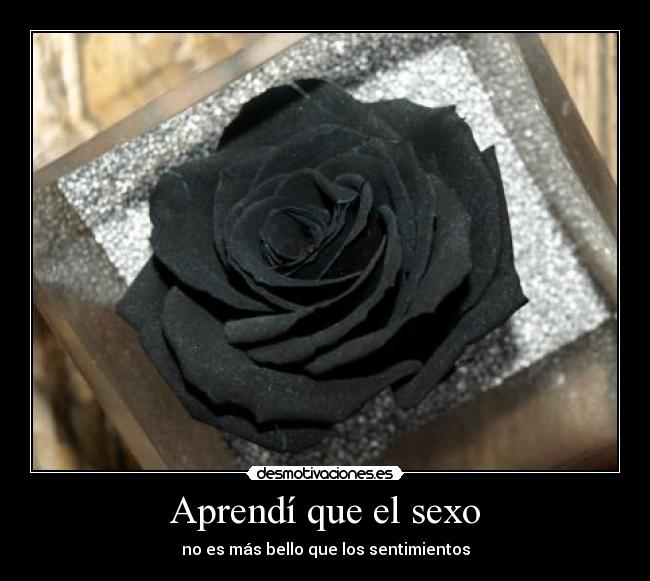 Aprendí que el sexo - no es más bello que los sentimientos
