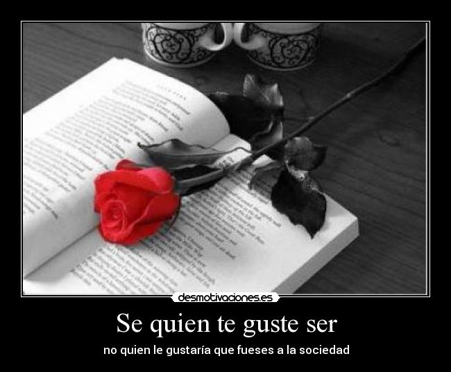 Se quien te guste ser - no quien le gustaría que fueses a la sociedad