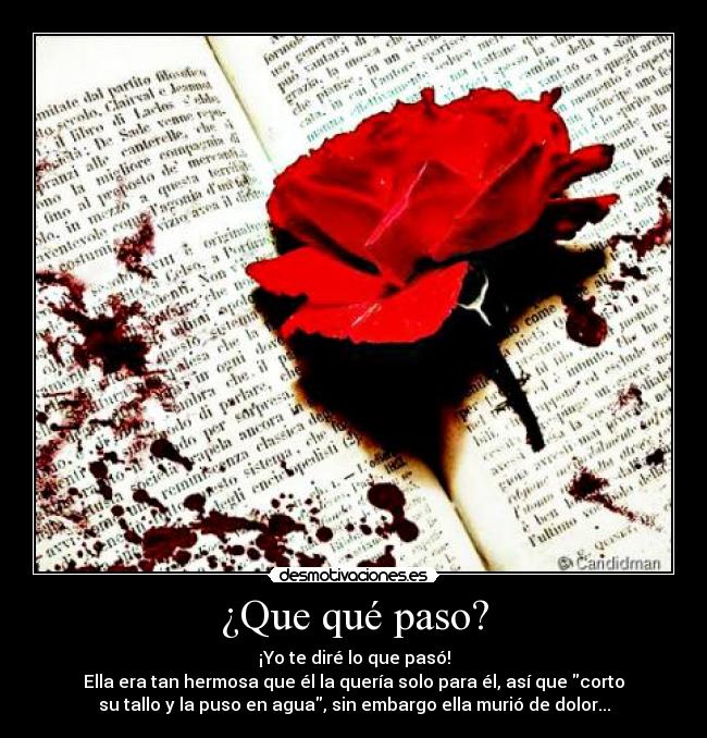 ¿Que qué paso? - ¡Yo te diré lo que pasó!
Ella era tan hermosa que él la quería solo para él, así que corto
su tallo y la puso en agua, sin embargo ella murió de dolor...