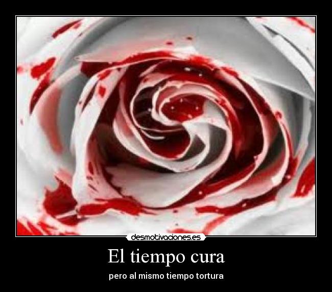 El tiempo cura - pero al mismo tiempo tortura