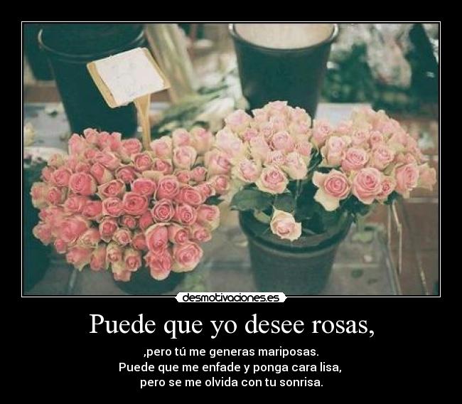 Puede que yo desee rosas, - 