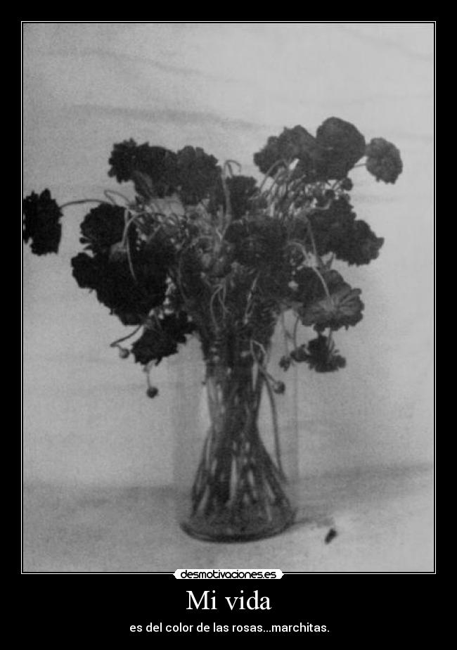 Mi vida - es del color de las rosas...marchitas.