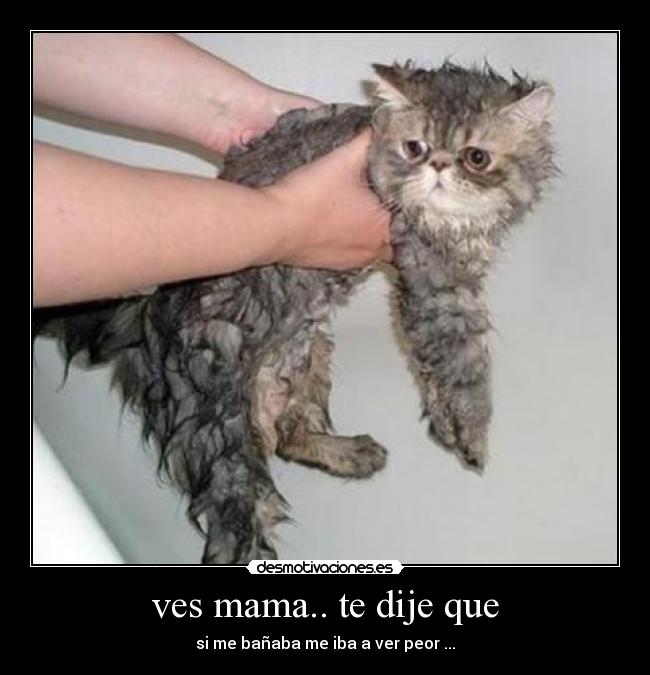 ves mama.. te dije que - si me bañaba me iba a ver peor ...