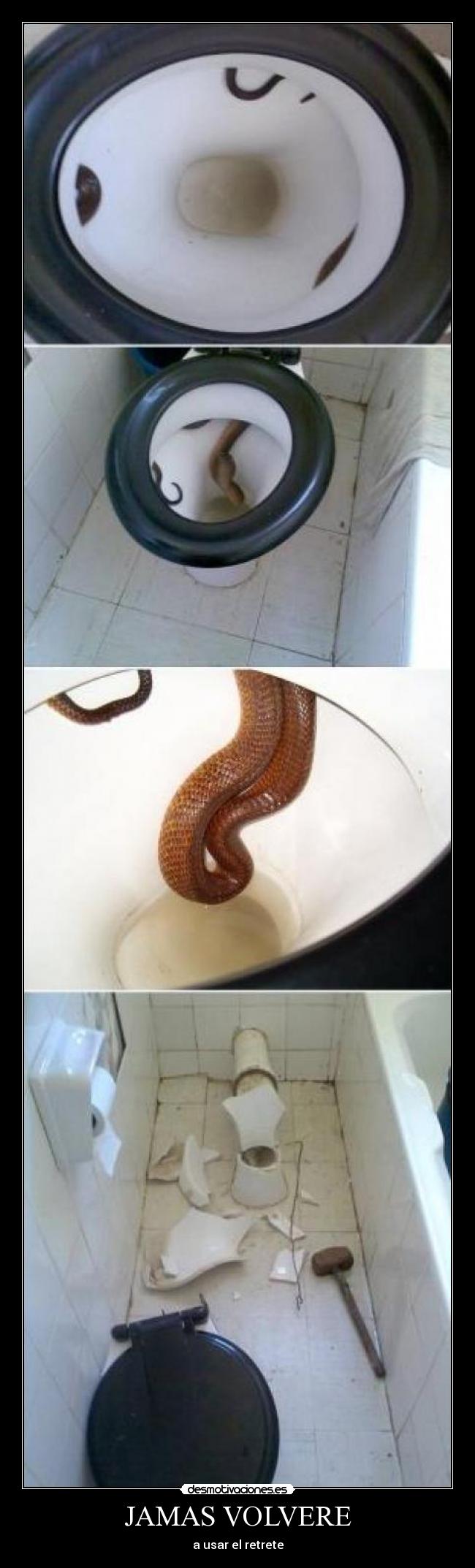 JAMAS VOLVERE - a usar el retrete