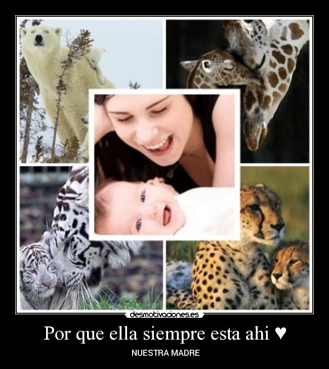 carteles draiward desmotivaciones