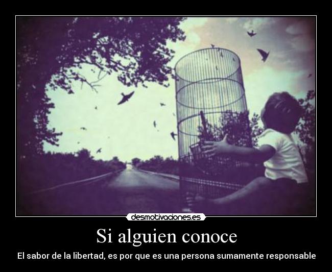 Si alguien conoce - 