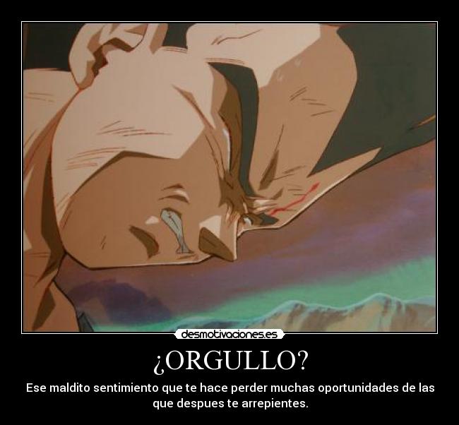 ¿ORGULLO? - Ese maldito sentimiento que te hace perder muchas oportunidades de las
que despues te arrepientes.
