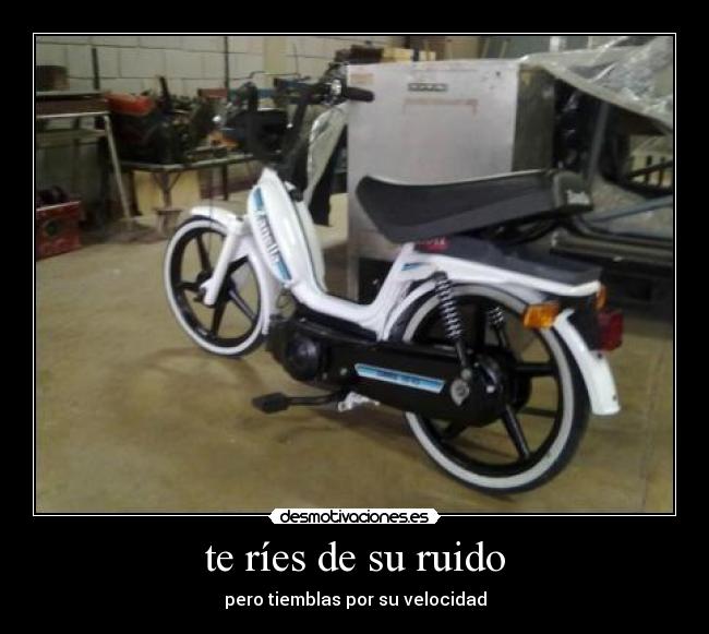 te ríes de su ruido - 