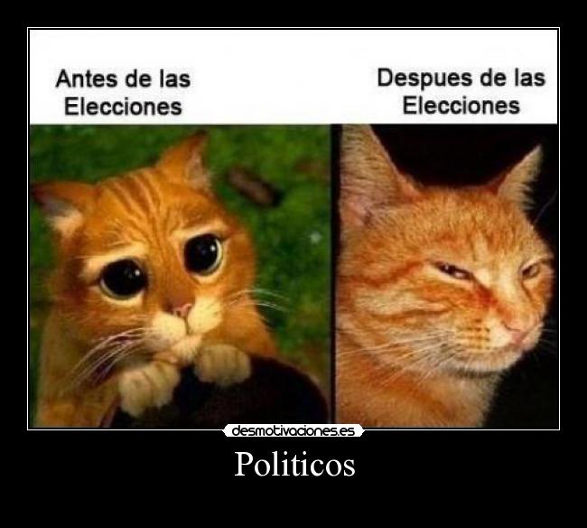 Politicos - 