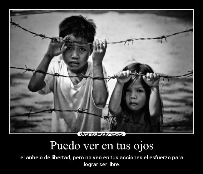 carteles fefarewtertertret desmotivaciones