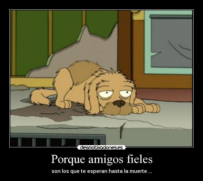 Porque amigos fieles - son los que te esperan hasta la muerte ...
