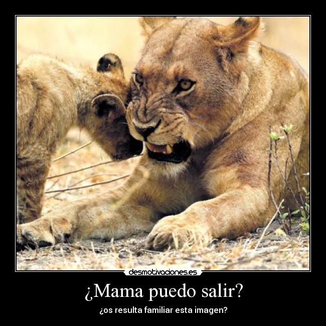 ¿Mama puedo salir? - ¿os resulta familiar esta imagen?