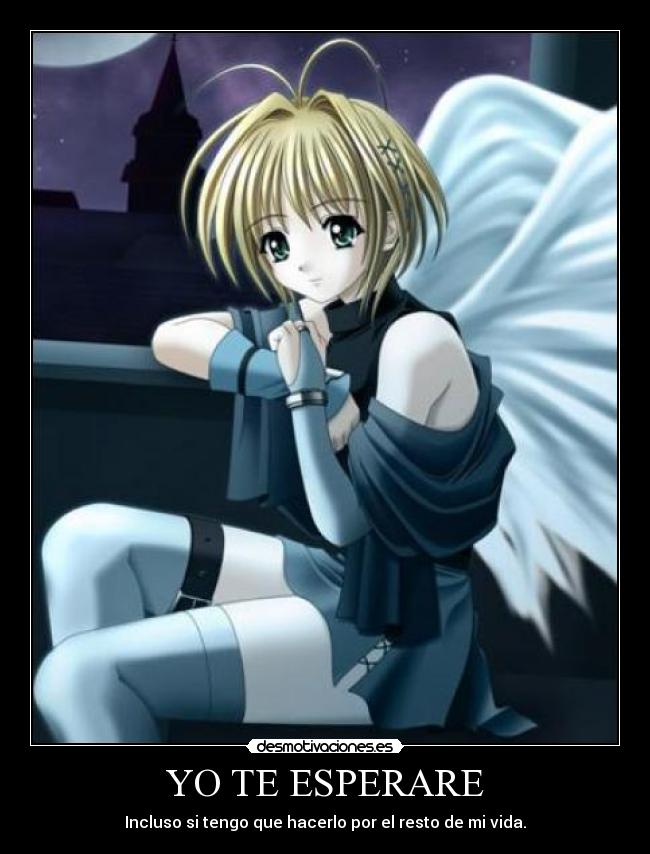 YO TE ESPERARE - 