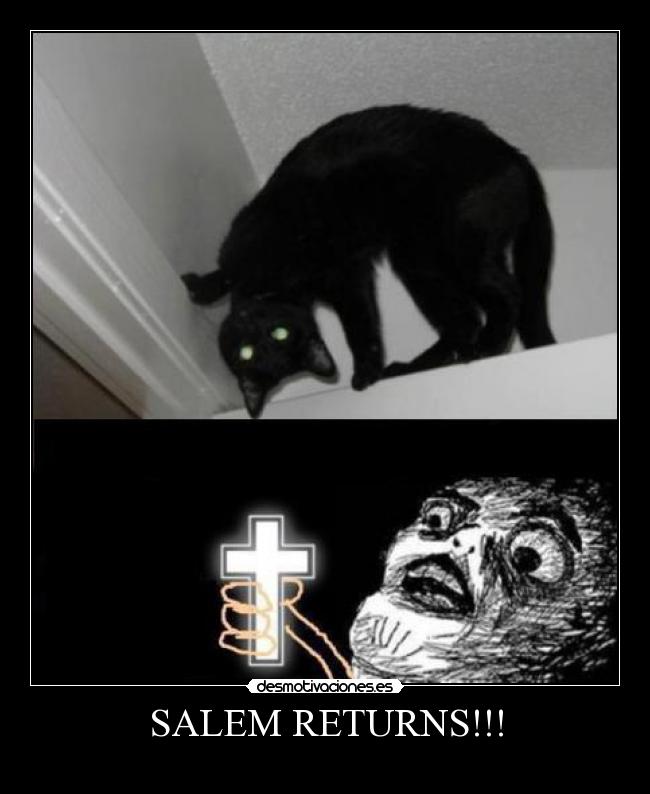 SALEM RETURNS!!! -