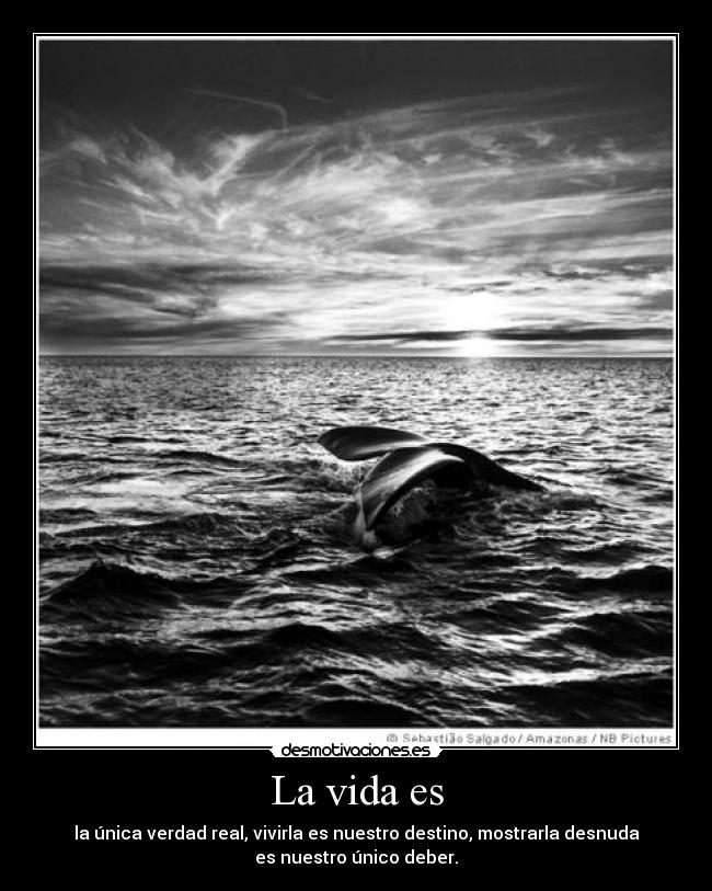 La vida es - la única verdad real, vivirla es nuestro destino, mostrarla desnuda
es nuestro único deber.