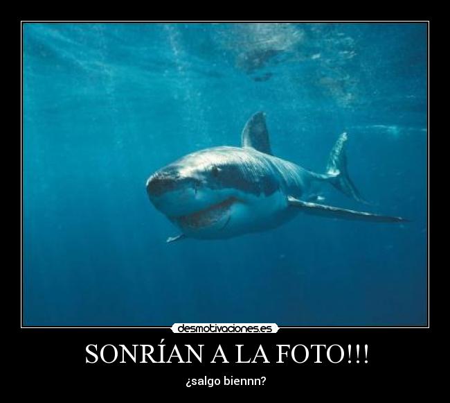 SONRÍAN A LA FOTO!!! - ¿salgo biennn?