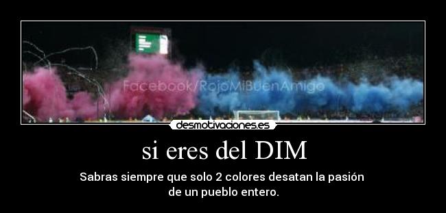 si eres del DIM -
