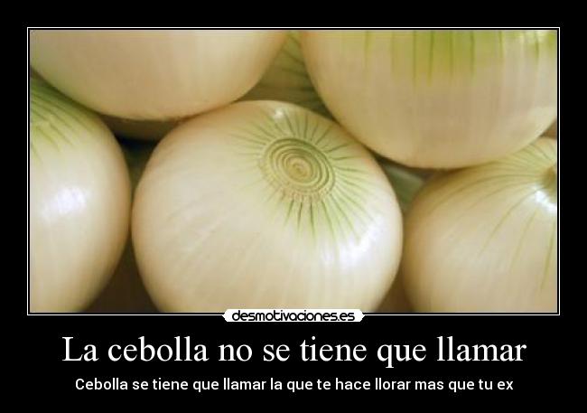 La cebolla no se tiene que llamar - Cebolla se tiene que llamar la que te hace llorar mas que tu ex