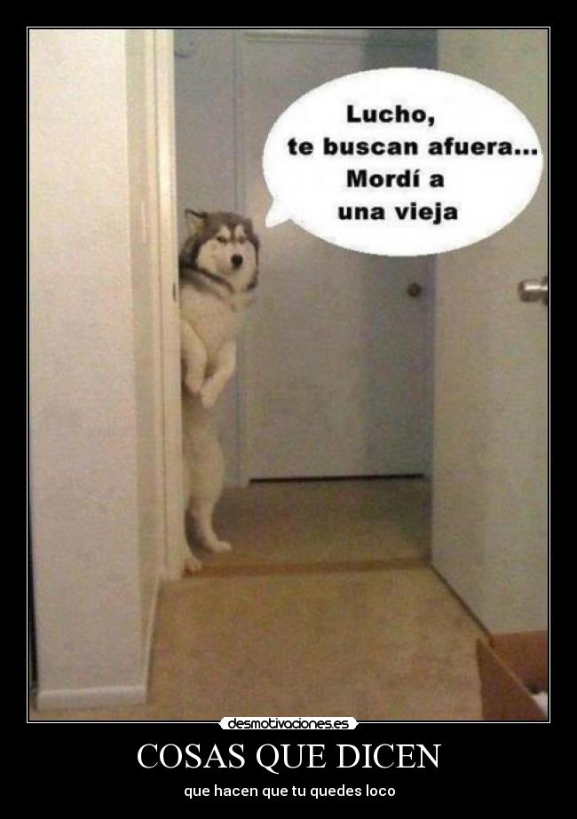 carteles jajaj desmotivaciones