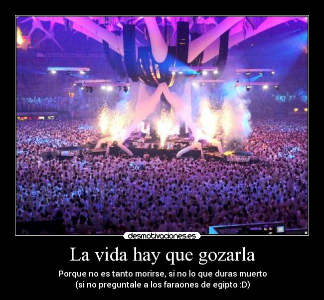 carteles vida vida hay que gozarla porque tanto morirse que duras muerto preguntale los desmotivaciones