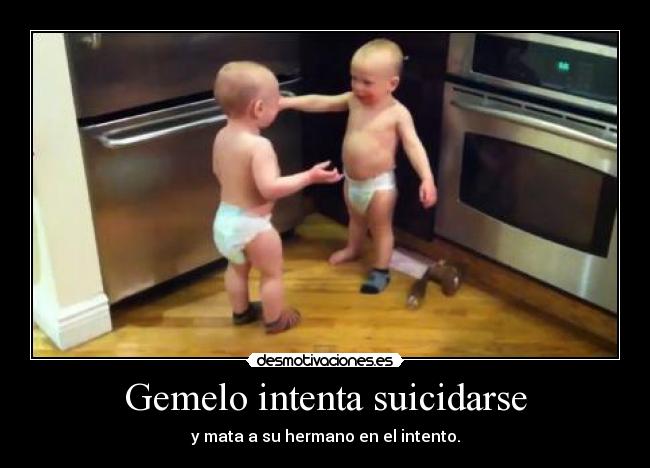 Gemelo intenta suicidarse - y mata a su hermano en el intento.