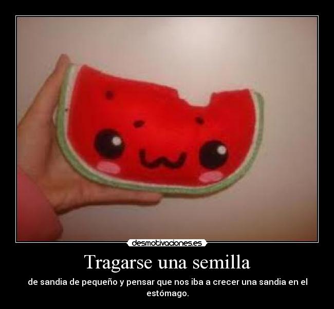 carteles tragarse una semilla sandia desmotivaciones