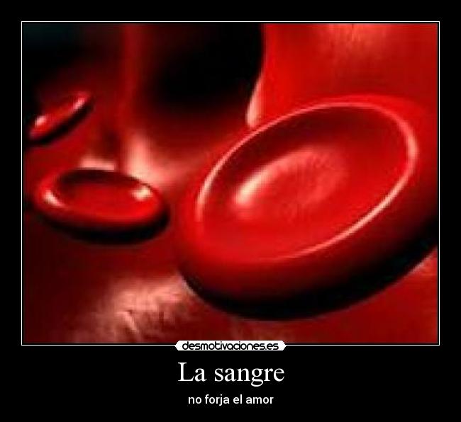 La sangre - no forja el amor