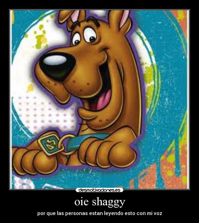 oie shaggy -