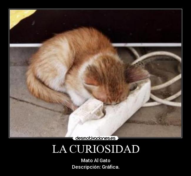 LA CURIOSIDAD - Mato Al Gato
Descripción: Gráfica.