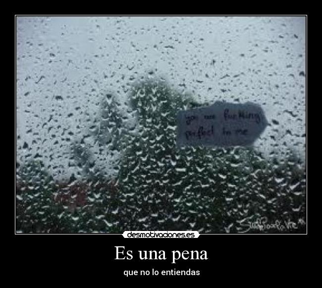 Es una pena - que no lo entiendas