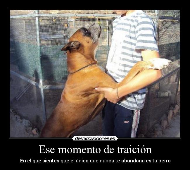 carteles paxi13 desmotivaciones