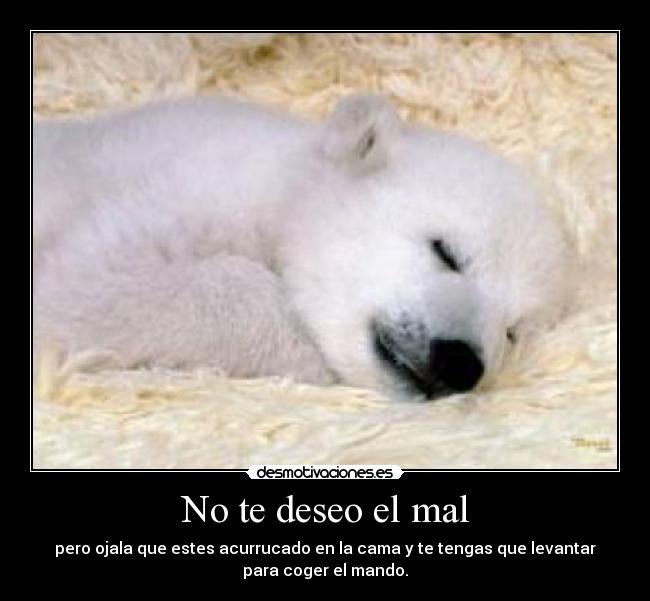 No te deseo el mal - pero ojala que estes acurrucado en la cama y te tengas que levantar
para coger el mando.