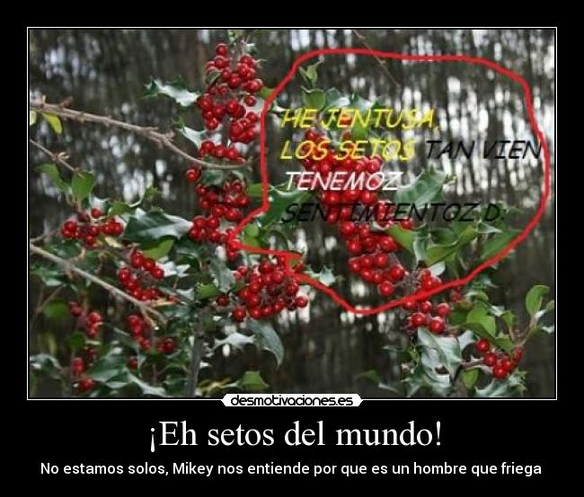 ¡Eh setos del mundo! - No estamos solos, Mikey nos entiende por que es un hombre que friega