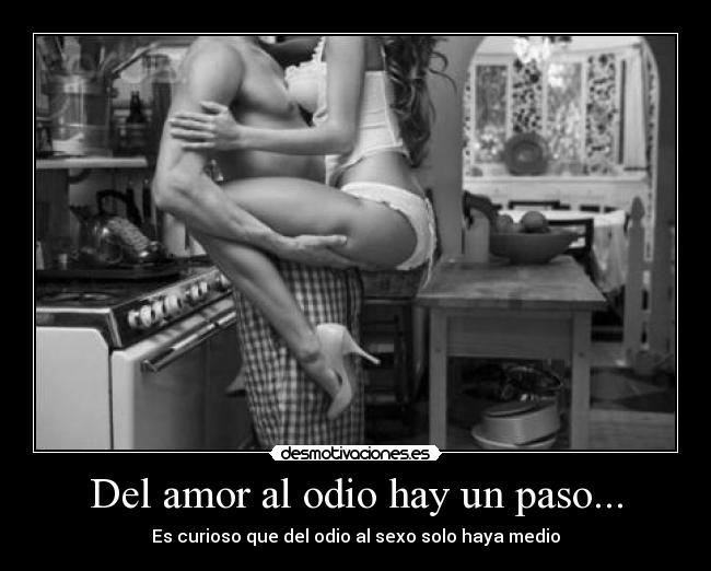Del amor al odio hay un paso... - Es curioso que del odio al sexo solo haya medio