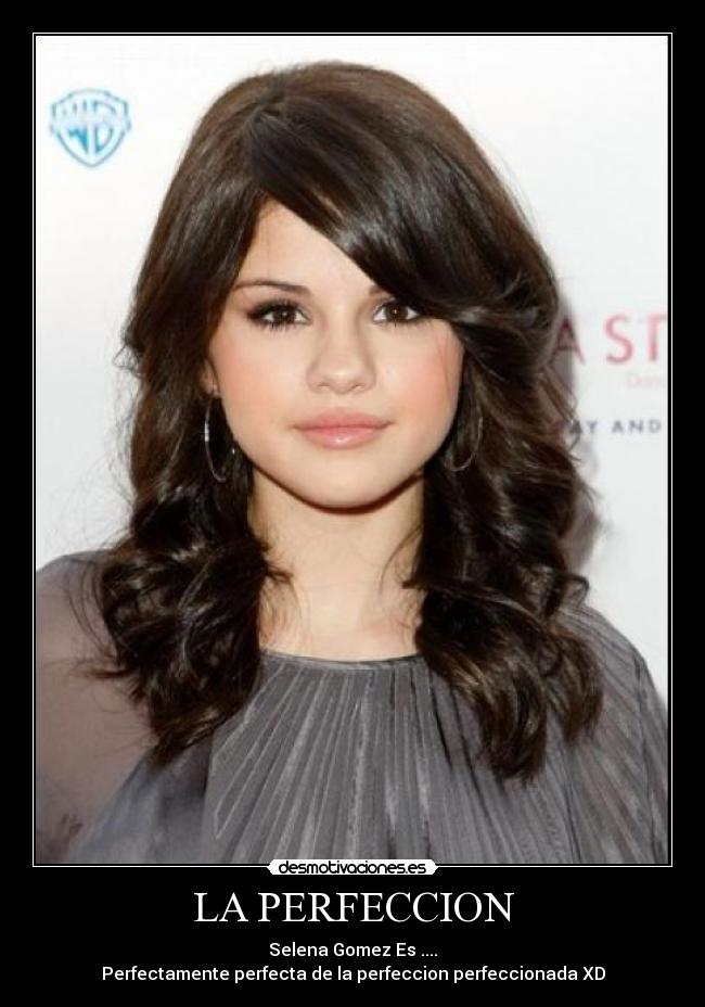 LA PERFECCION -