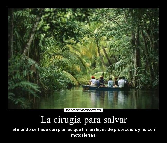 La cirugía para salvar - el mundo se hace con plumas que firman leyes de protección, y no con motosierras.