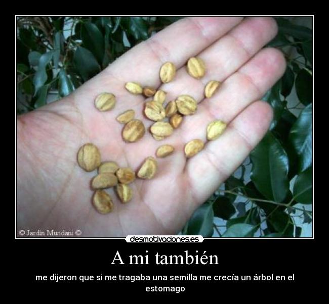 A mi también - me dijeron que si me tragaba una semilla me crecía un árbol en el estomago