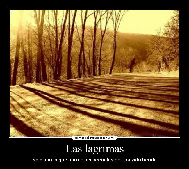 Las lagrimas -