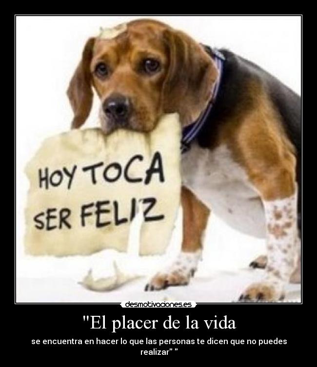 El placer de la vida - 