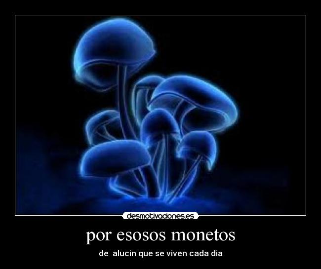 por esosos monetos -