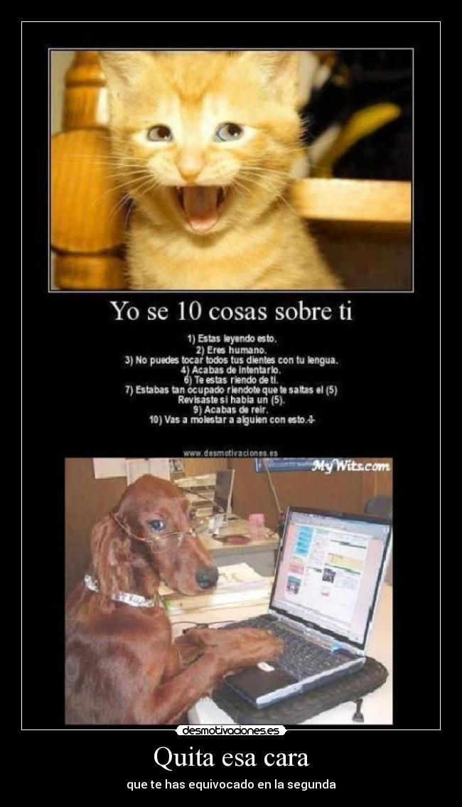 Quita esa cara - 