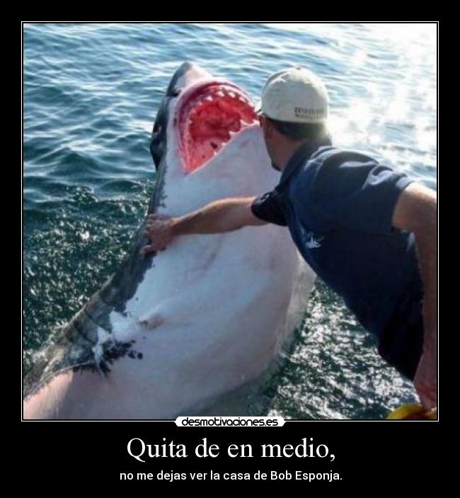 Quita de en medio, - no me dejas ver la casa de Bob Esponja.