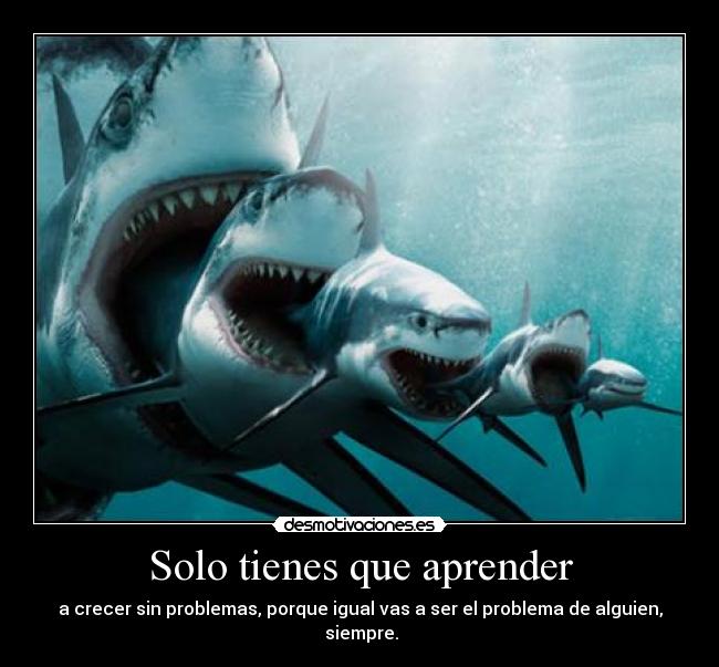 Solo tienes que aprender -
