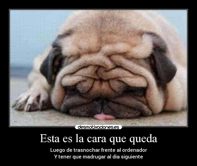 Esta es la cara que queda -