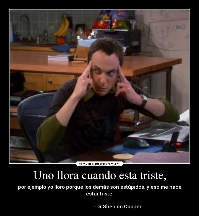 Uno llora cuando esta triste, - por ejemplo yo lloro porque los demás son estúpidos, y eso me hace estar triste.
- Dr.Sheldon Cooper