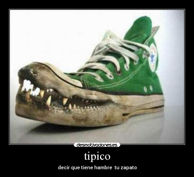 tipico - 