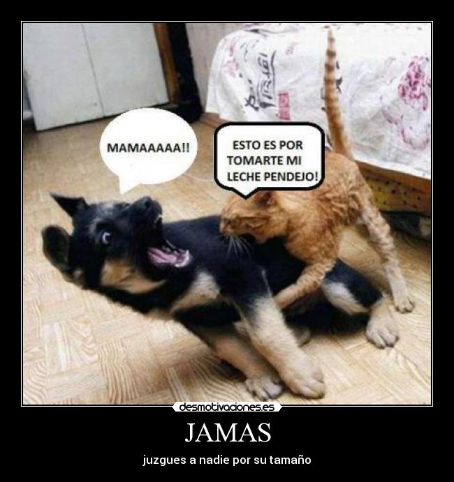JAMAS - juzgues a nadie por su tamaño