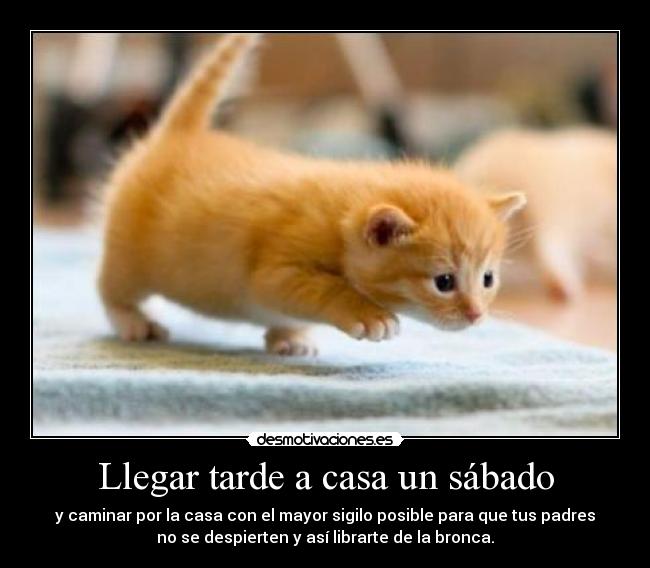 carteles casa billie jean desmotivaciones